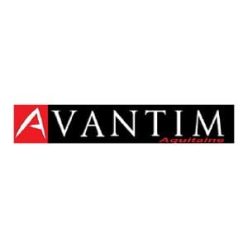 logo-avantim